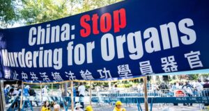 China: Stop Murdering for Organs