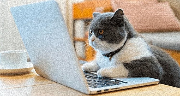 A cat with a laptop pretending to work