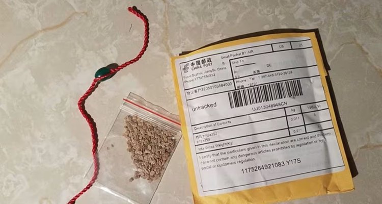 Unsolicited seeds from China