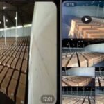 Dummy servers used to evade U.S. export controls