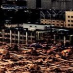 from the Killed to Order book cover