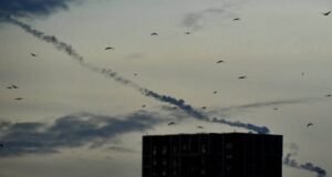 Birds and missiles in the sky