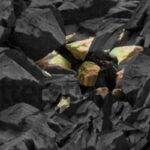 Rare earth minerals