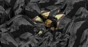 Rare earth minerals