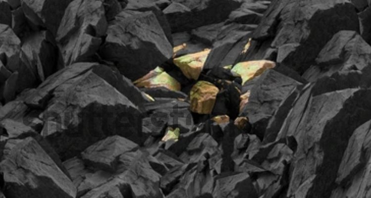 Rare earth minerals