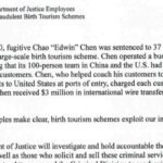 Justice memo on investigating birth tourism