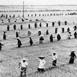 Communal farm during the Great Famine