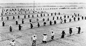 Communal farm during the Great Famine