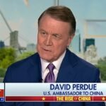David Perdue on Fox