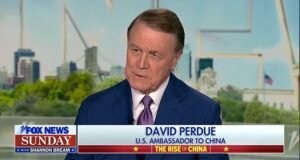 David Perdue on Fox