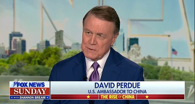 David Perdue on Fox